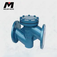 进口衬氟止回阀