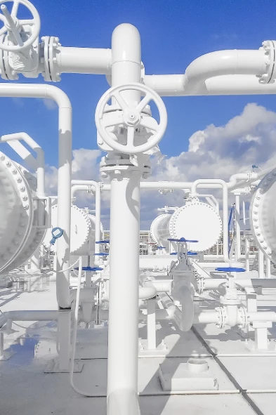 公共优势与支持