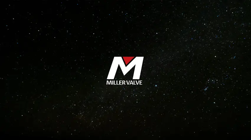 工程项目中如何理解进口阀门品牌的选型差异